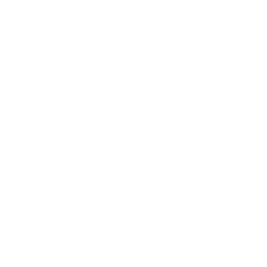 logo-blanco-viajes-valo